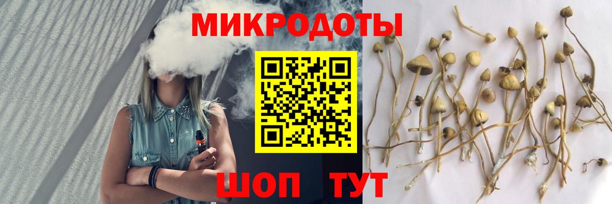Псилоцибиновые грибы Psilocybine cubensis Каспийск
