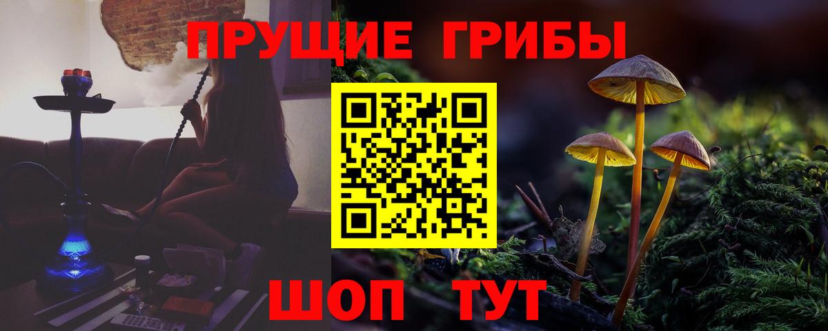 Каспийск  Псилоцибиновые грибы мицелий  Вход с VPN 